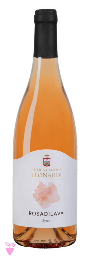 Rosa di lava
